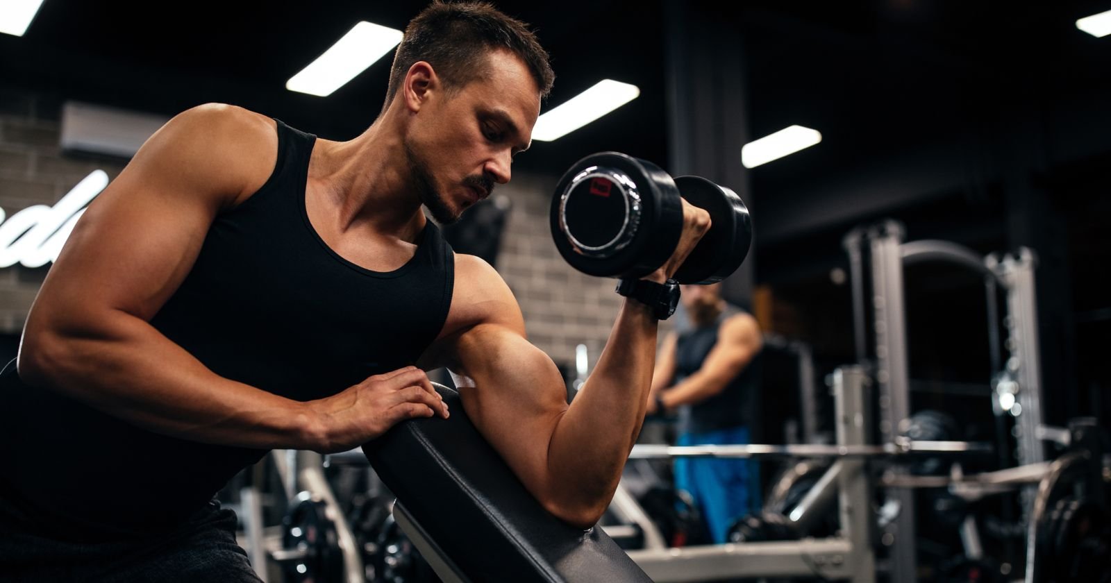 Description of the image